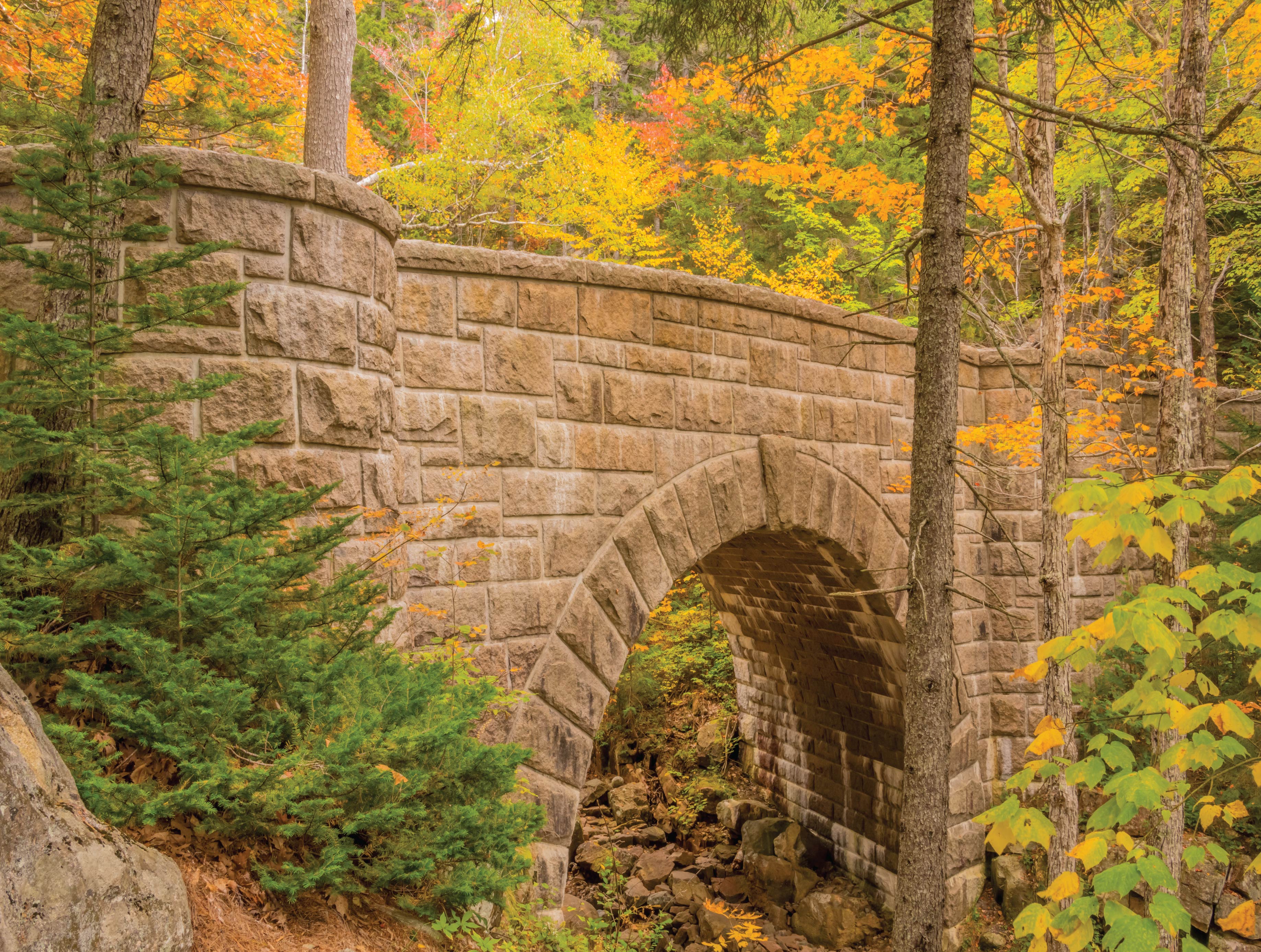 Image of Exploring Acadia’s Carriage Roads—Now as a 500-Piece Puzzle