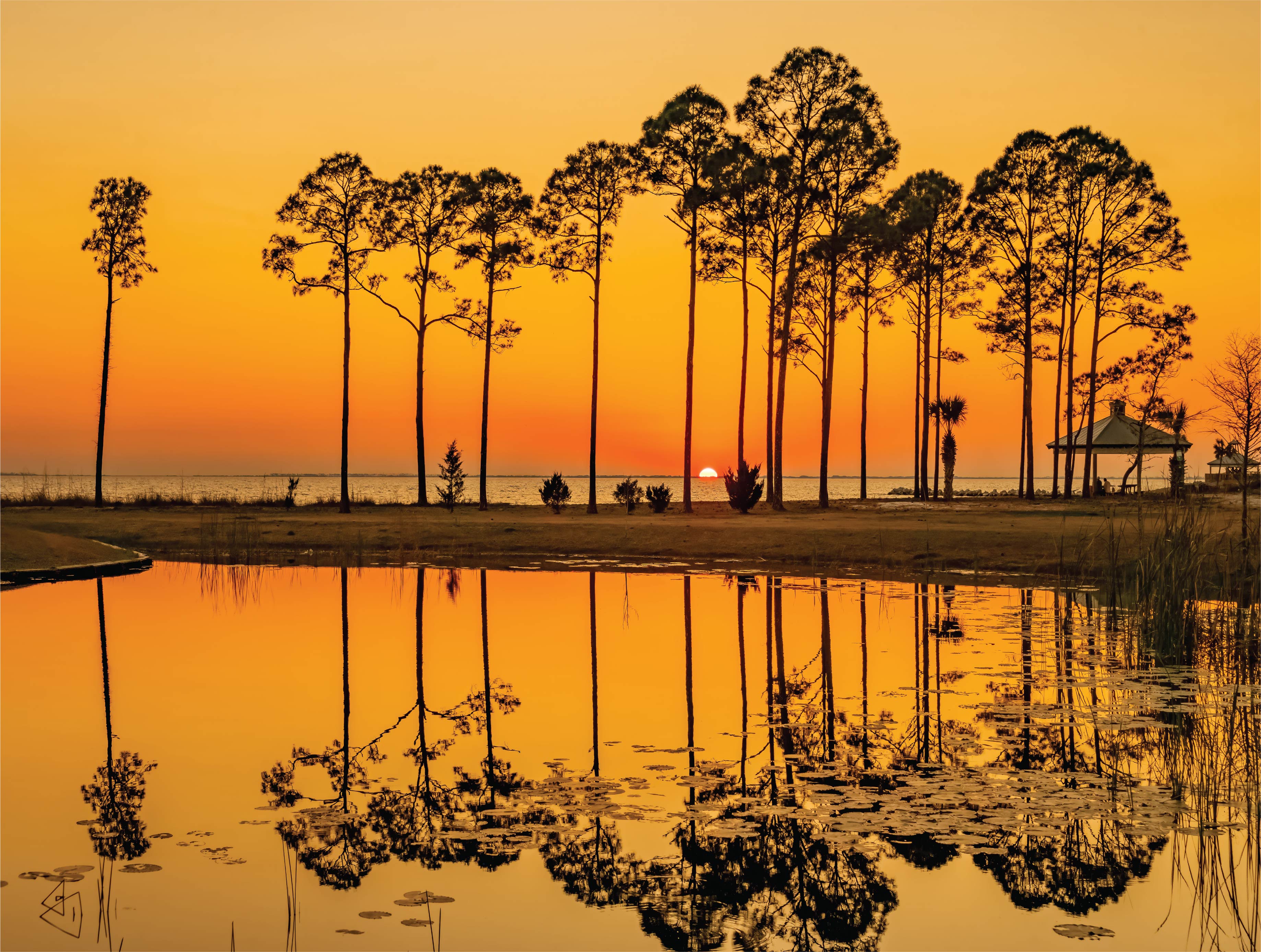 Image of Capturing Paradise: A Sunset on the Beach with Phil Stagg