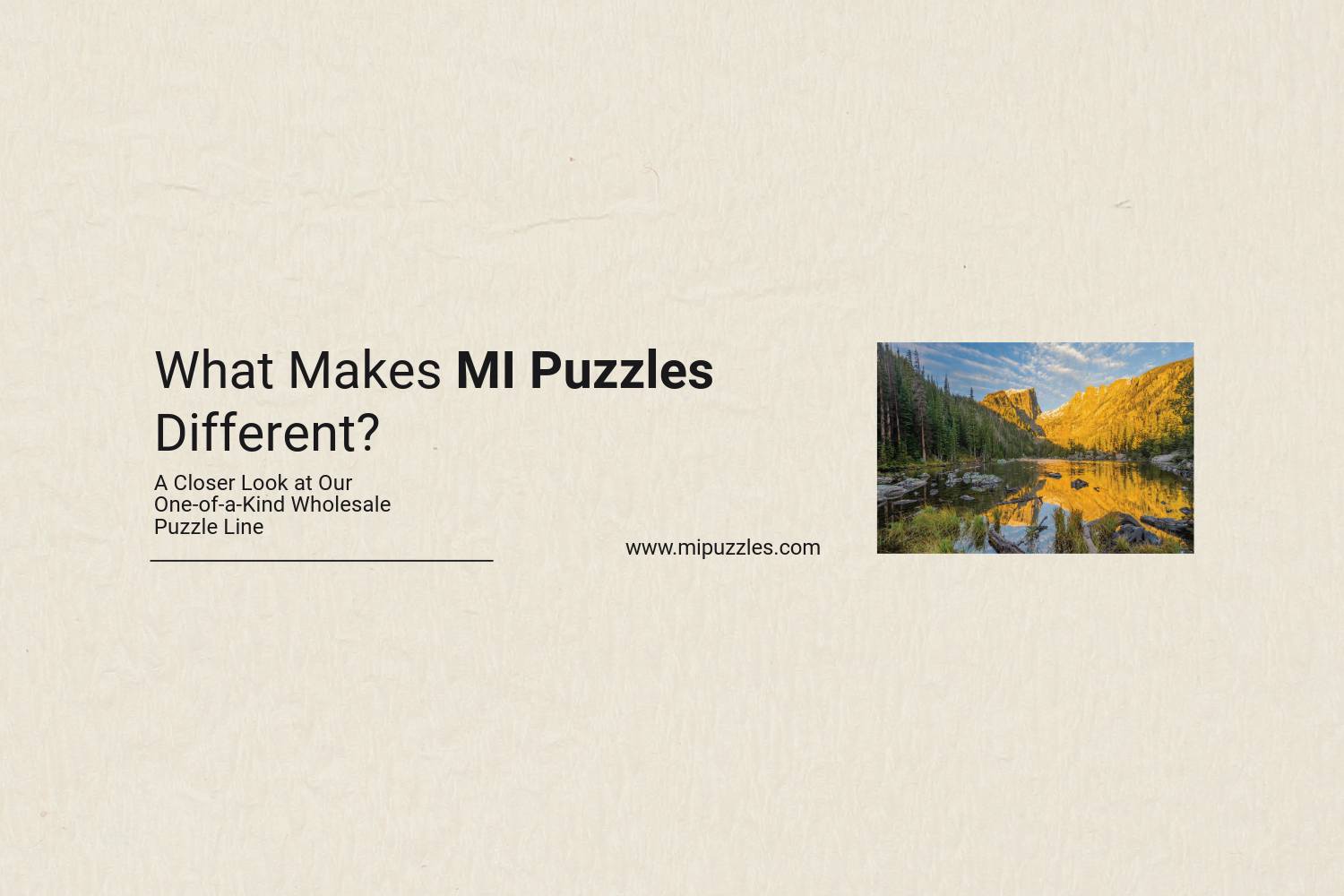 Image of What Makes MI Puzzles Different? A Closer Look at Our One-of-a-Kind Wholesale Puzzle Line 🧩