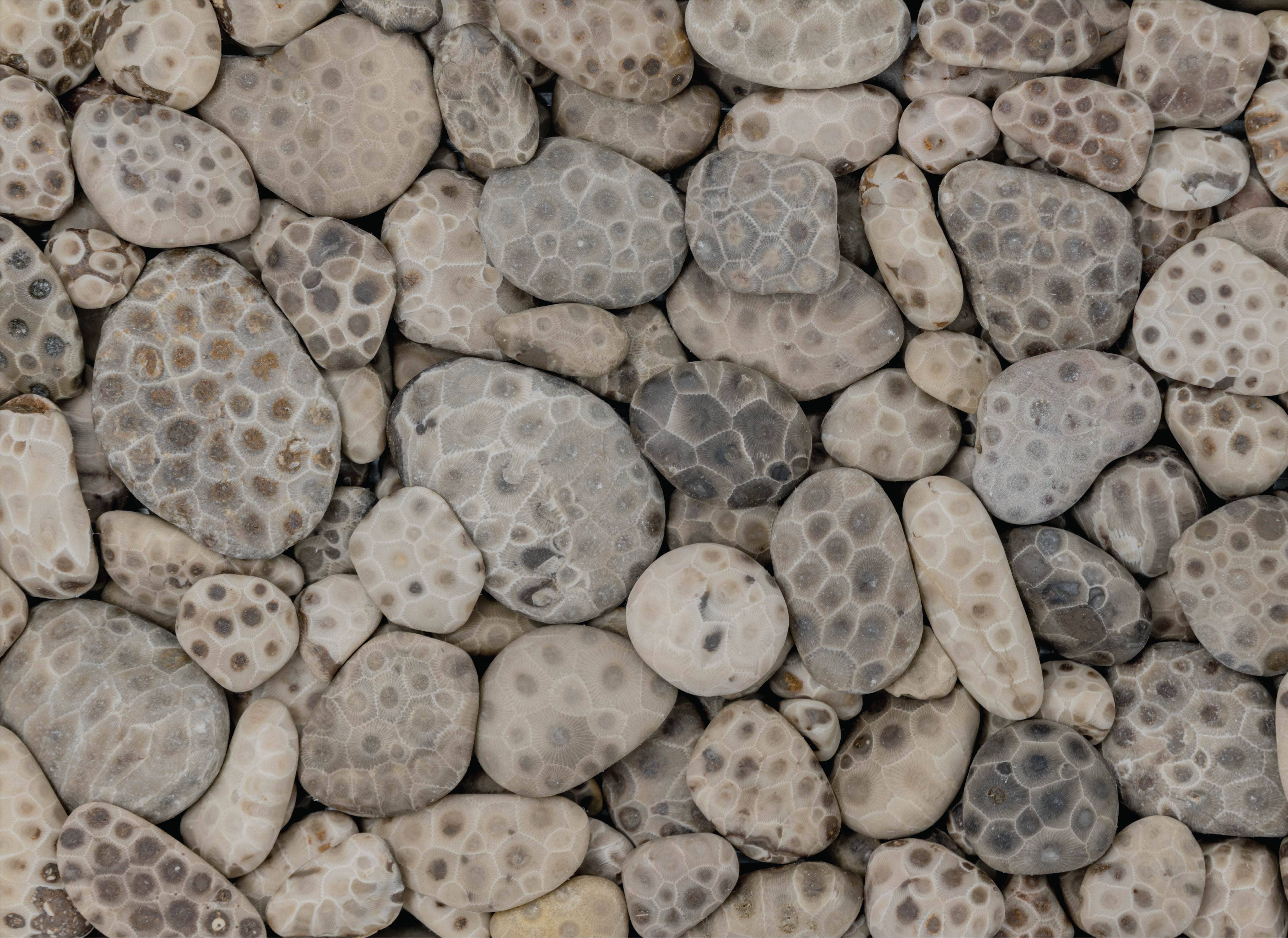 Image of Rock Puzzles