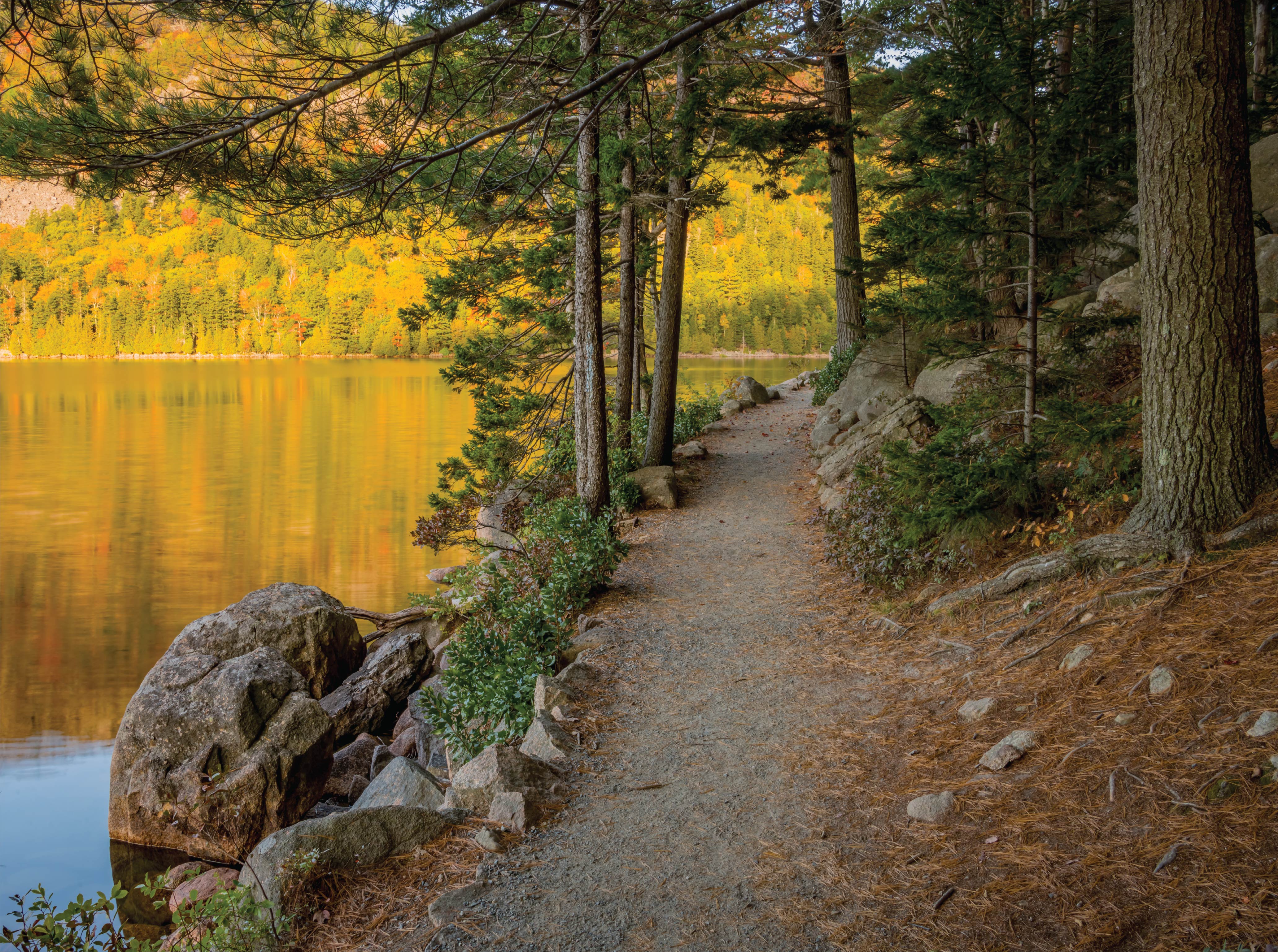 Image of Maine Jigsaw Puzzles