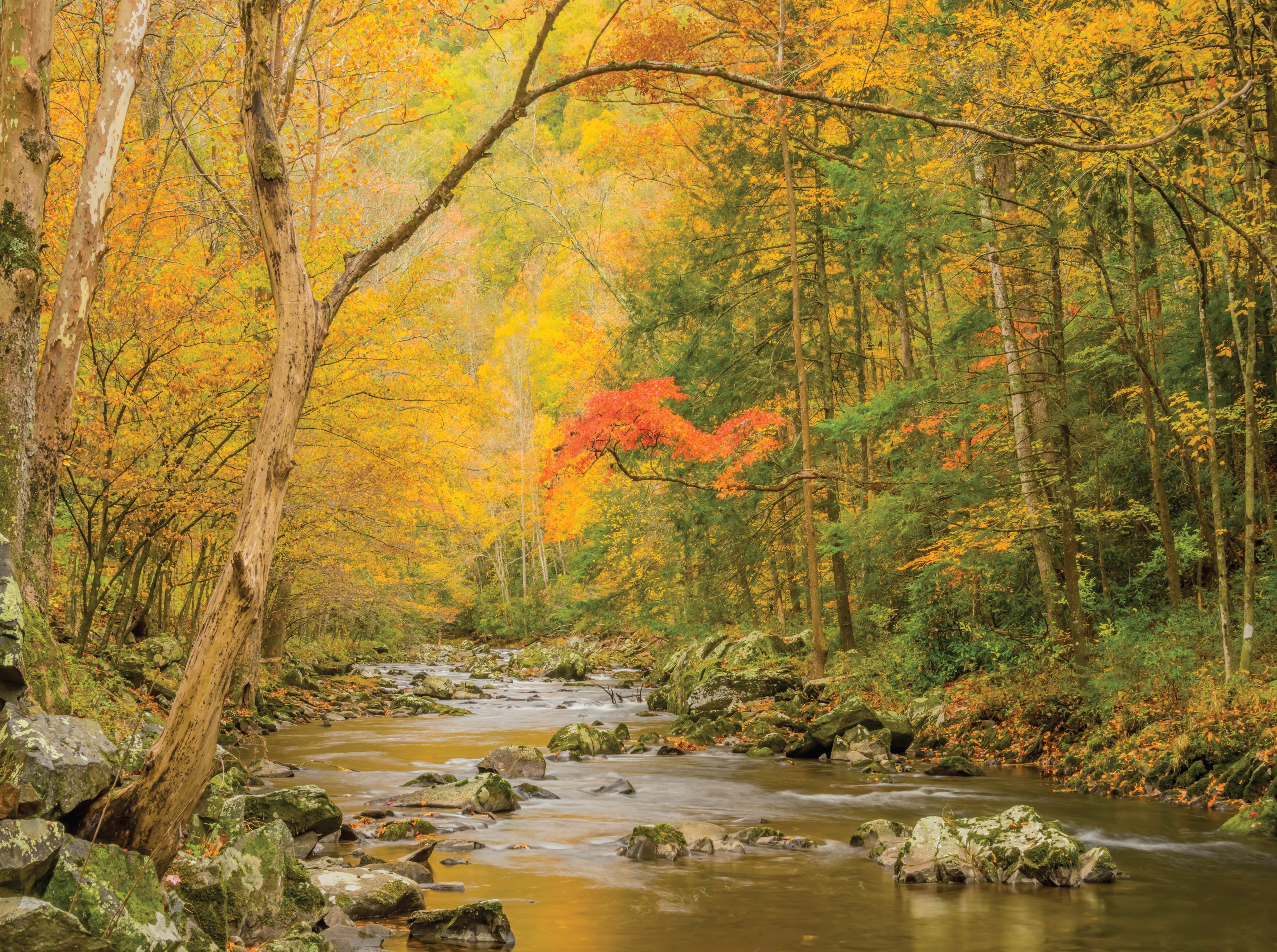 Image of Appalachian Jigsaw Puzzles