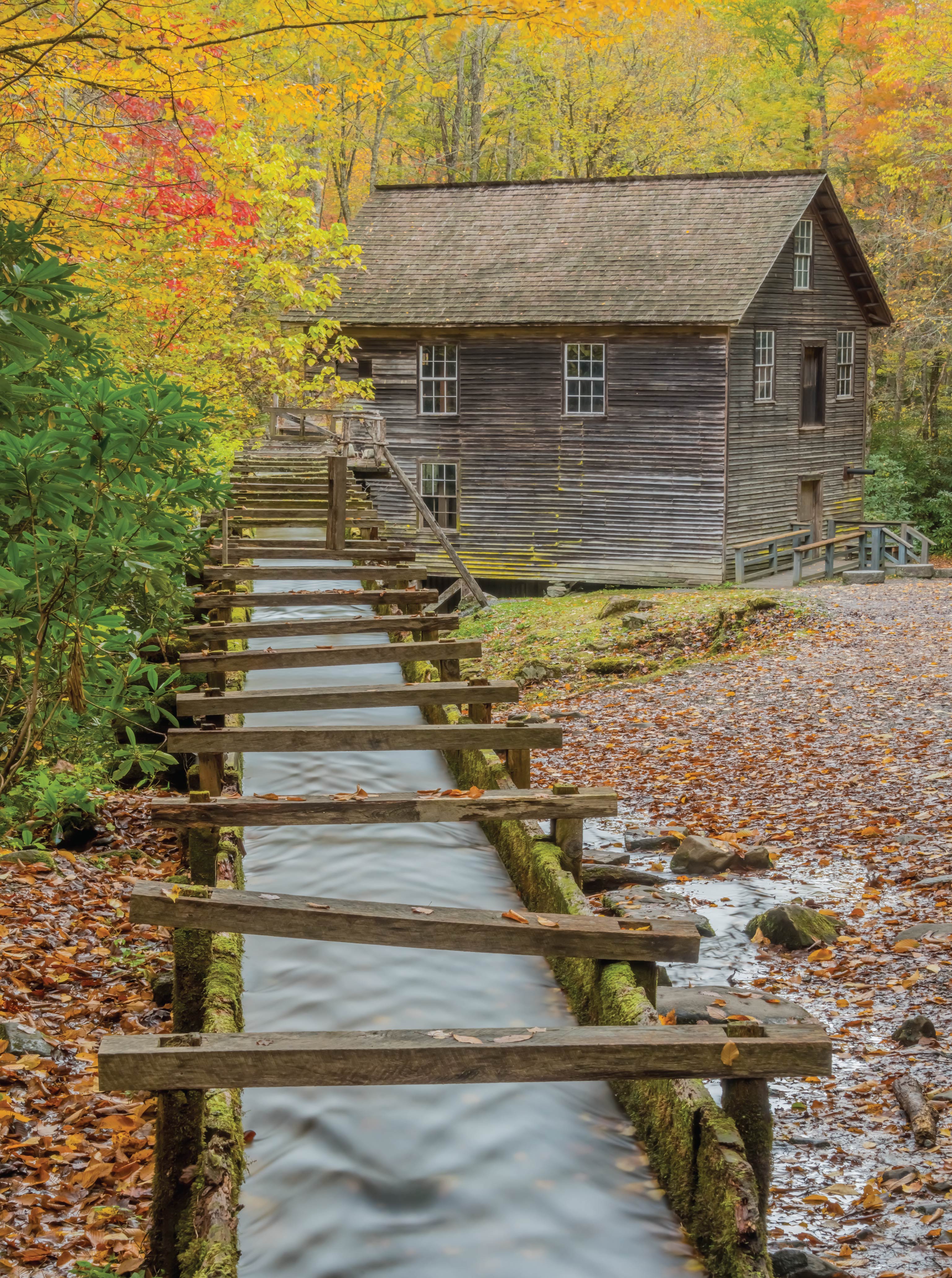 Image of North Carolina Jigsaw Puzzles