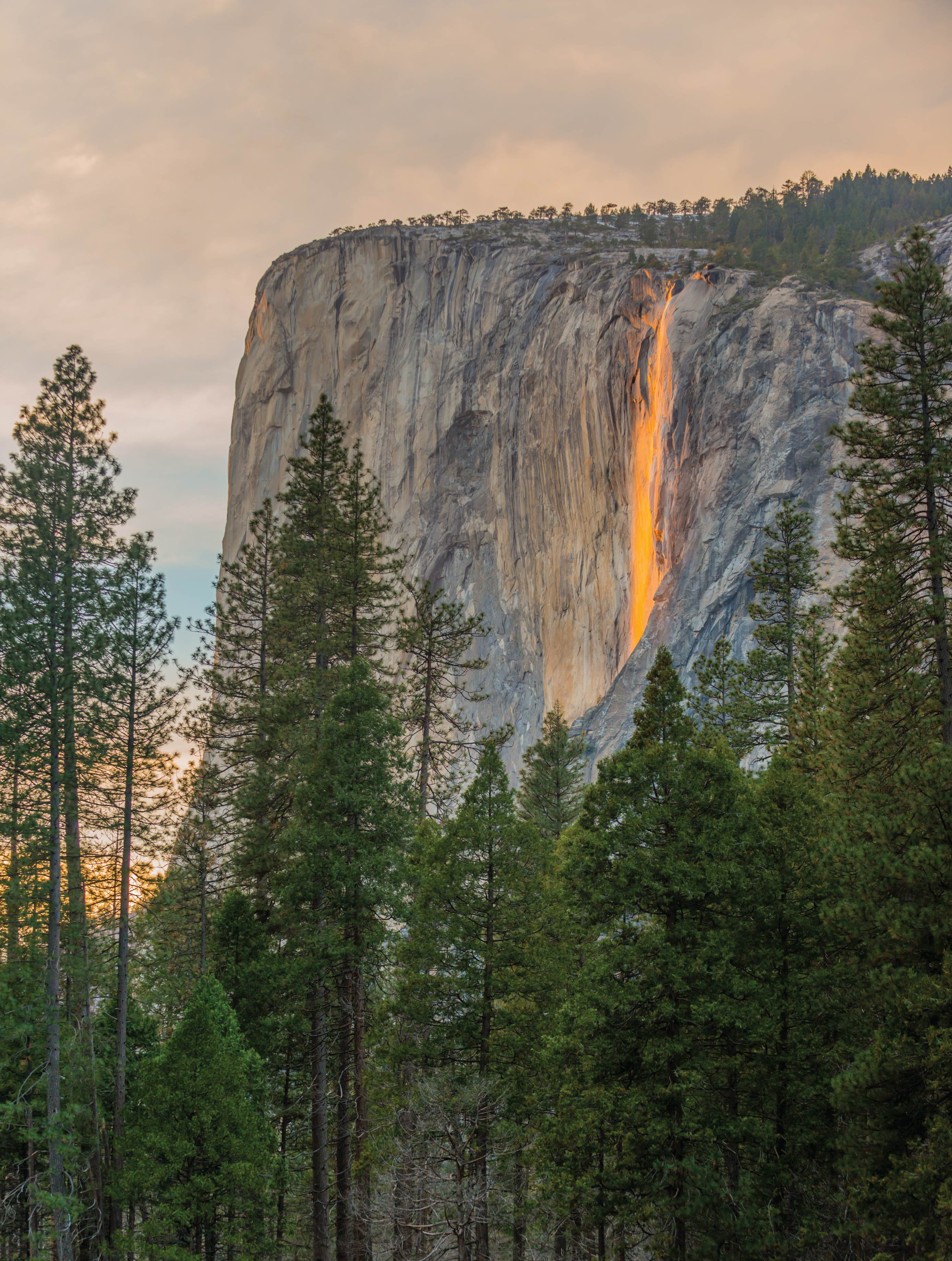 Image of California Jigsaw Puzzles