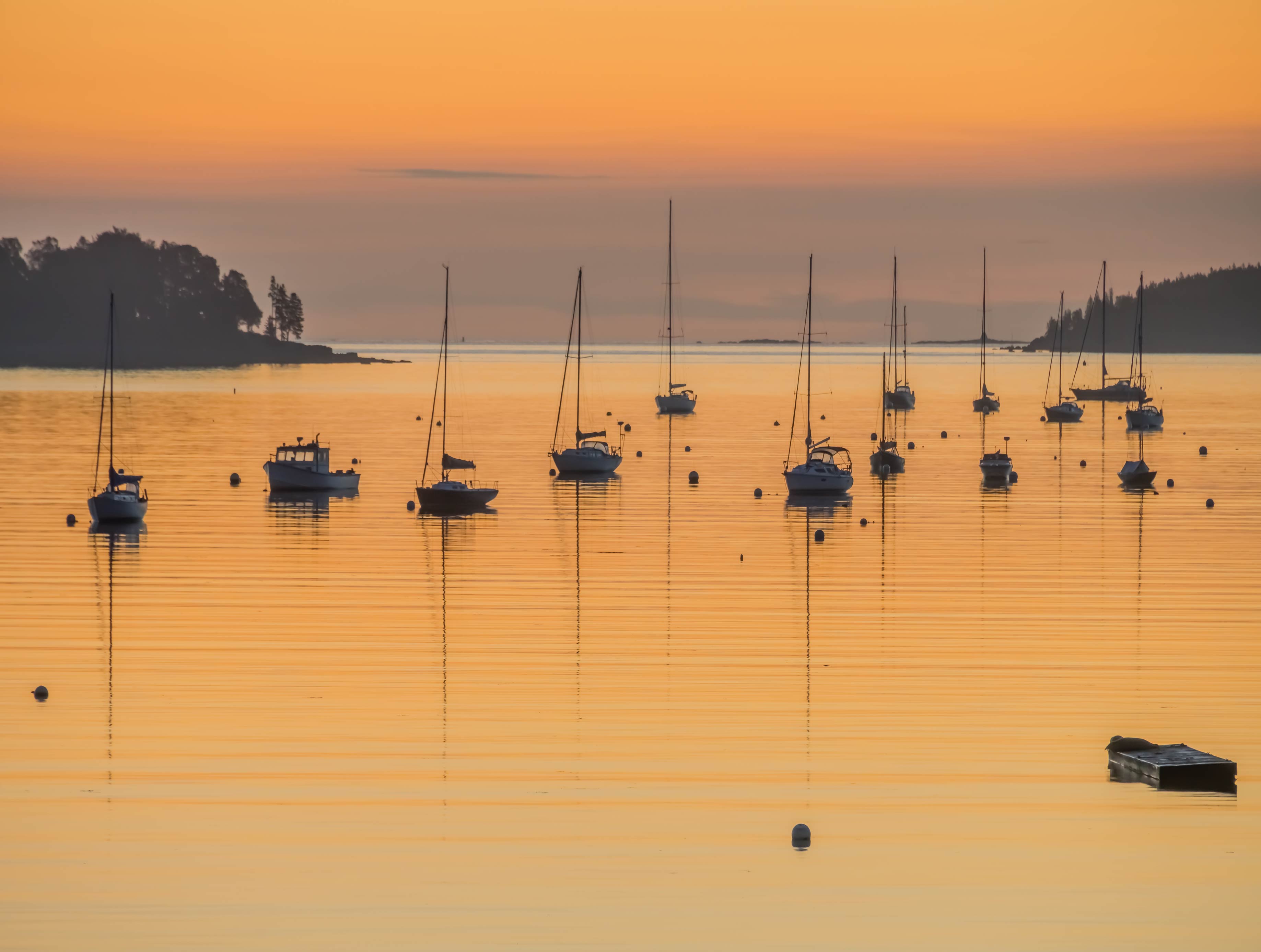 Image of New Jersey Jigsaw Puzzles