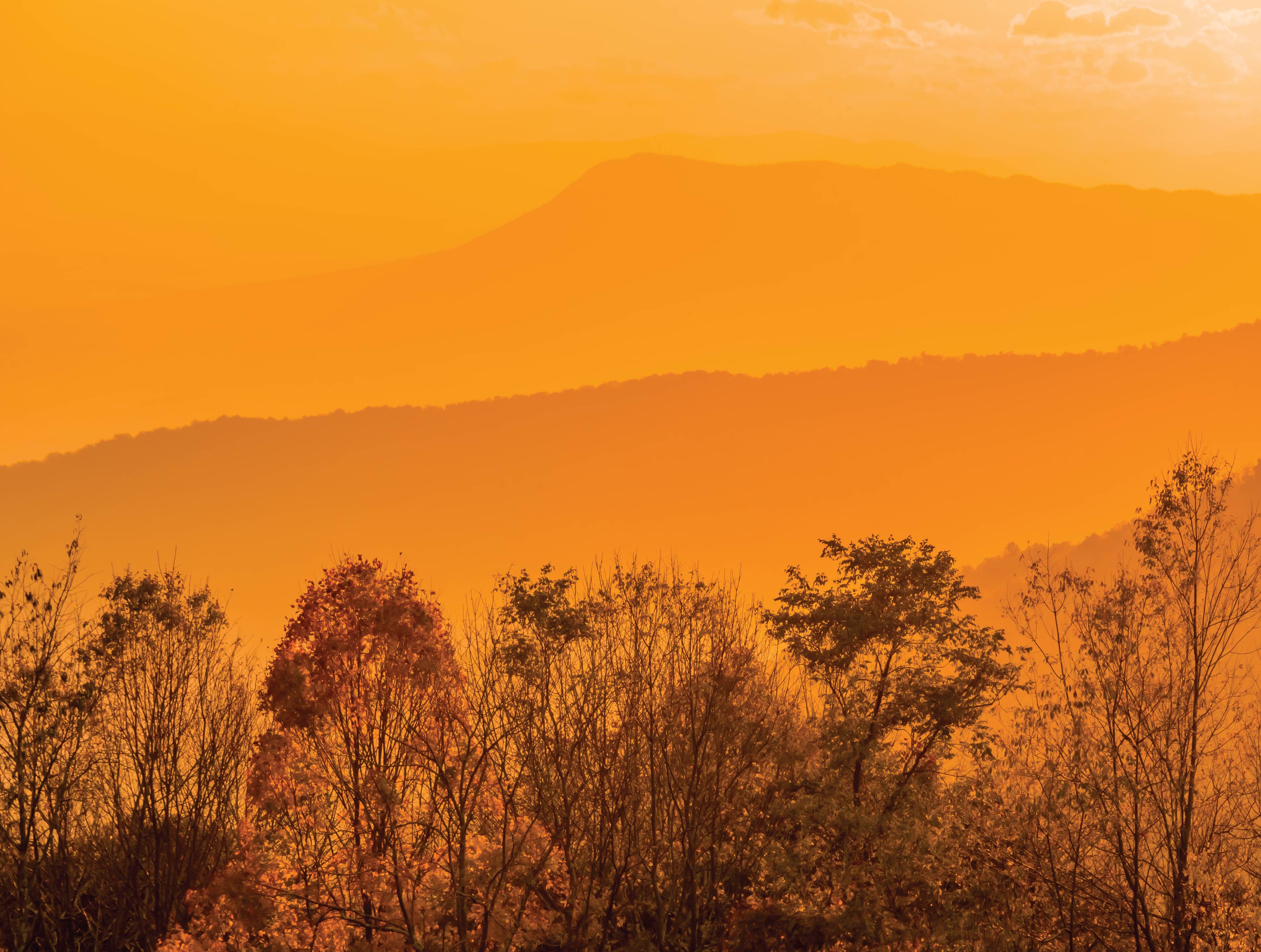 Image of Virginia Jigsaw Puzzles