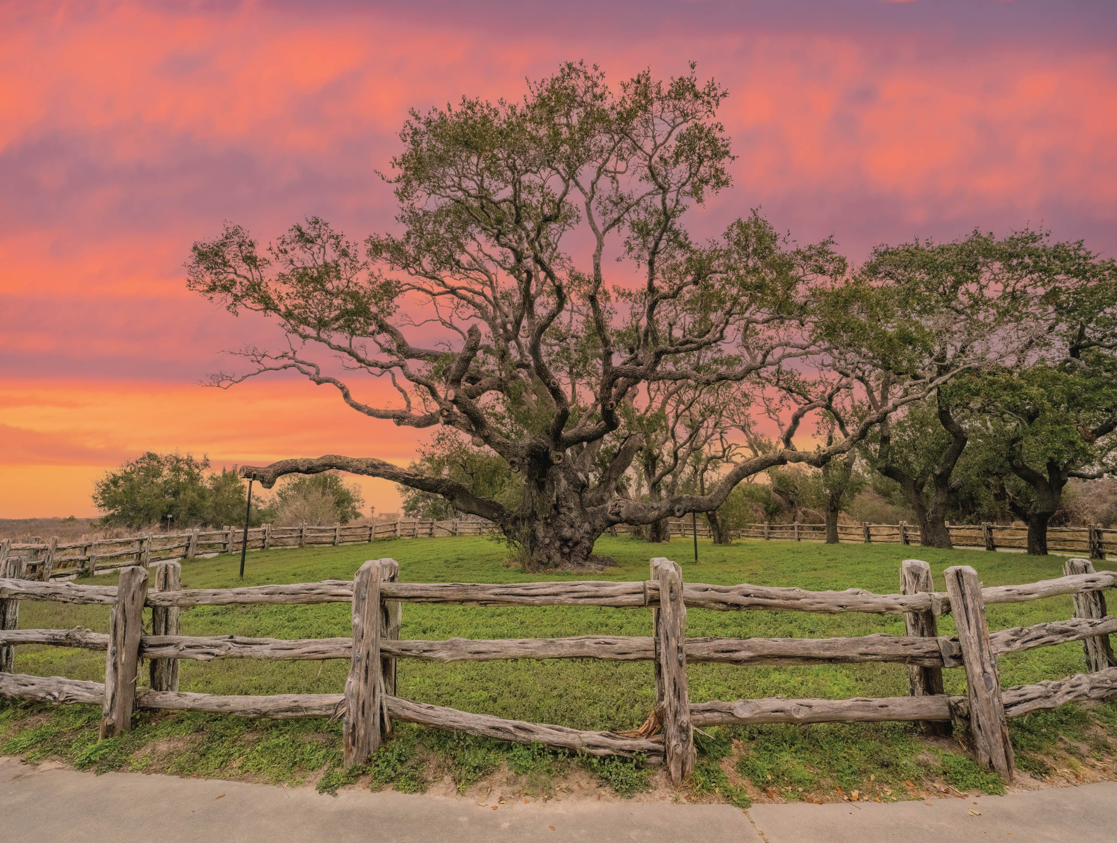 Image of Texas Jigsaw Puzzles