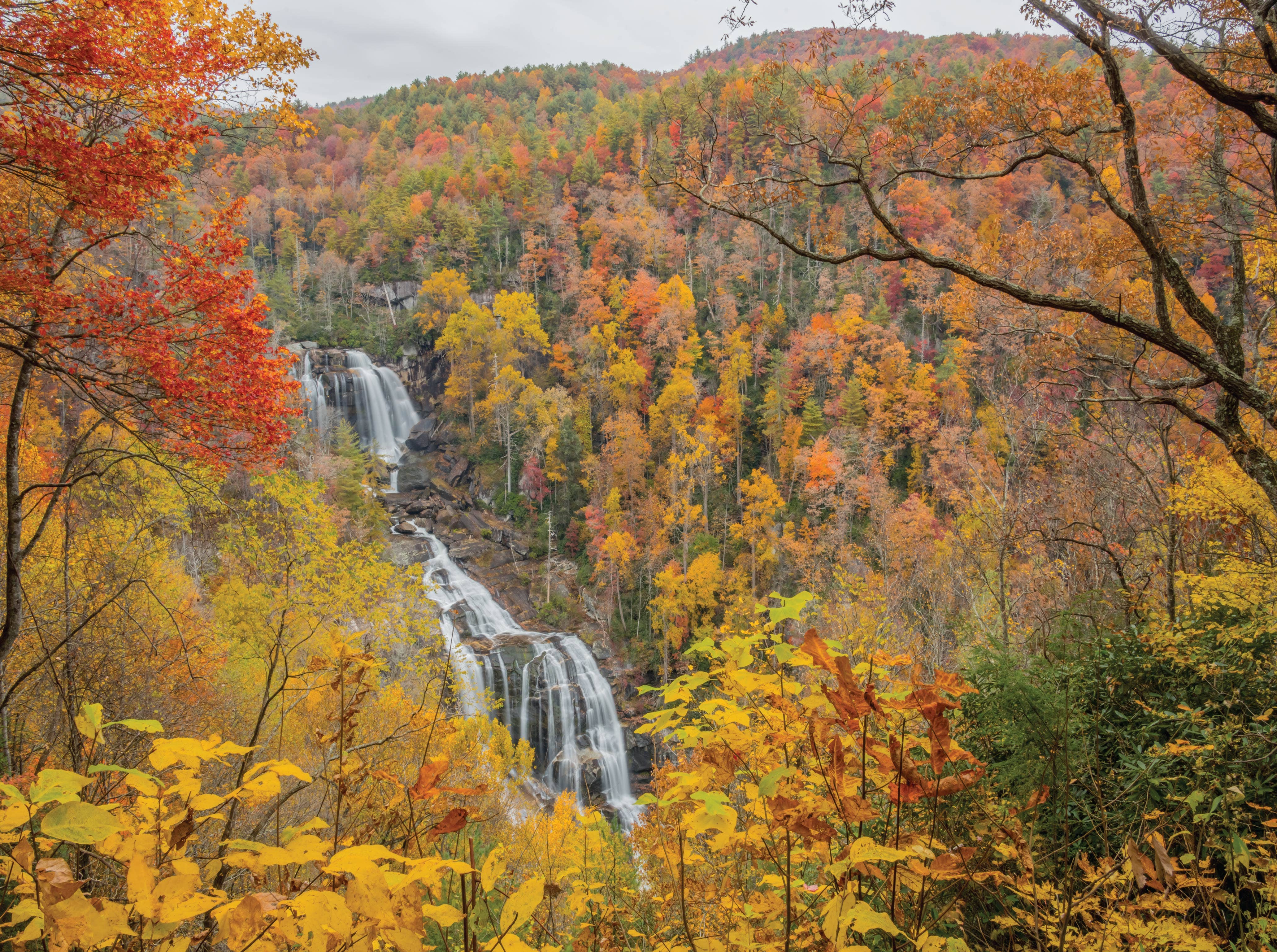 Image of Autumn Puzzles