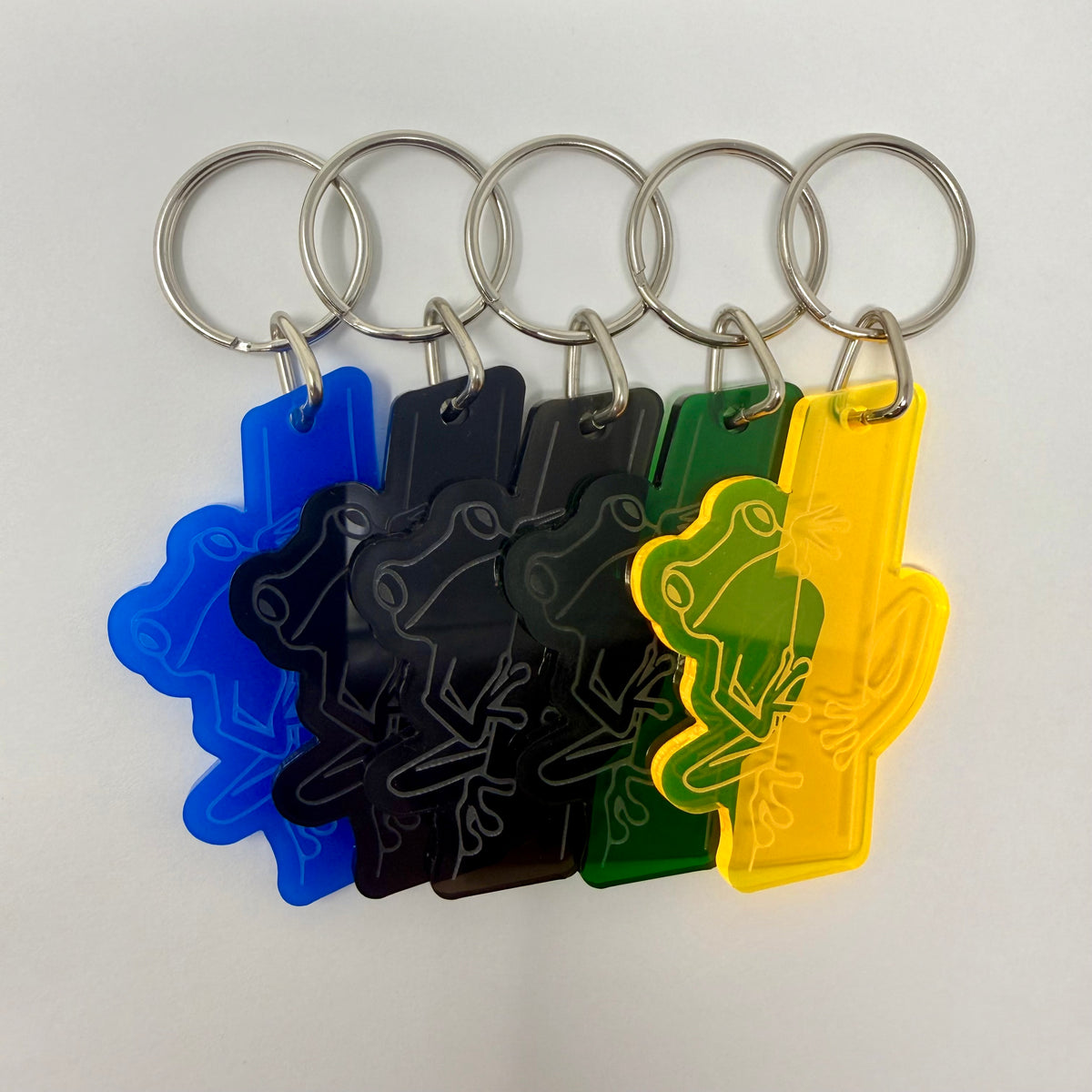 Frog Acrylic Keychain - Variety Pack