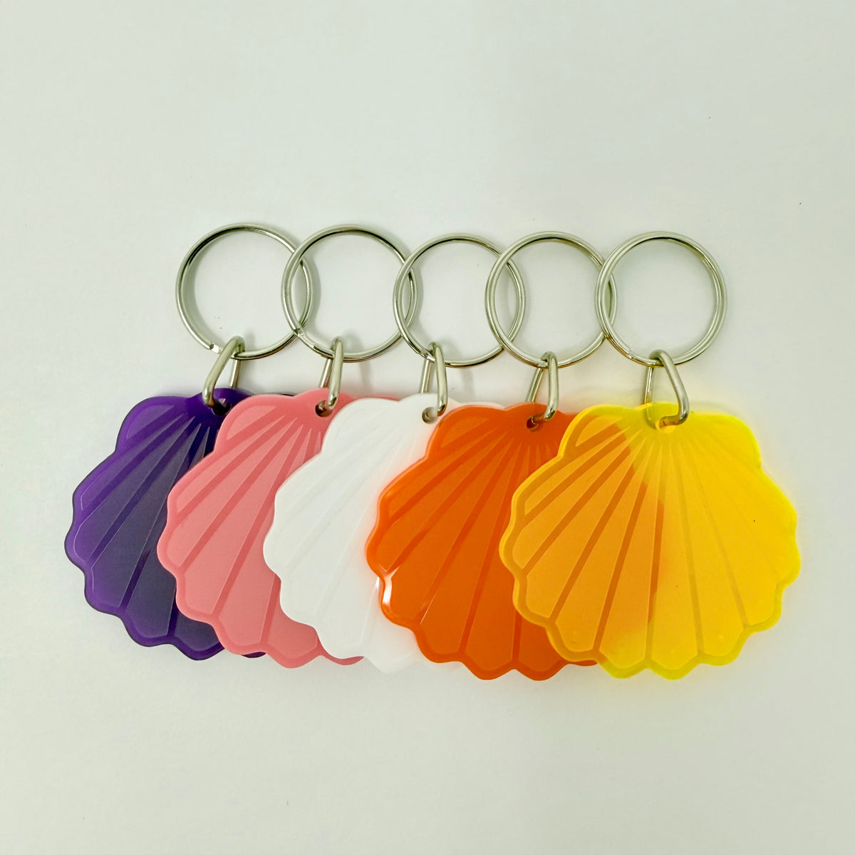 Scallop Shell Acrylic Keychain - Variety Pack