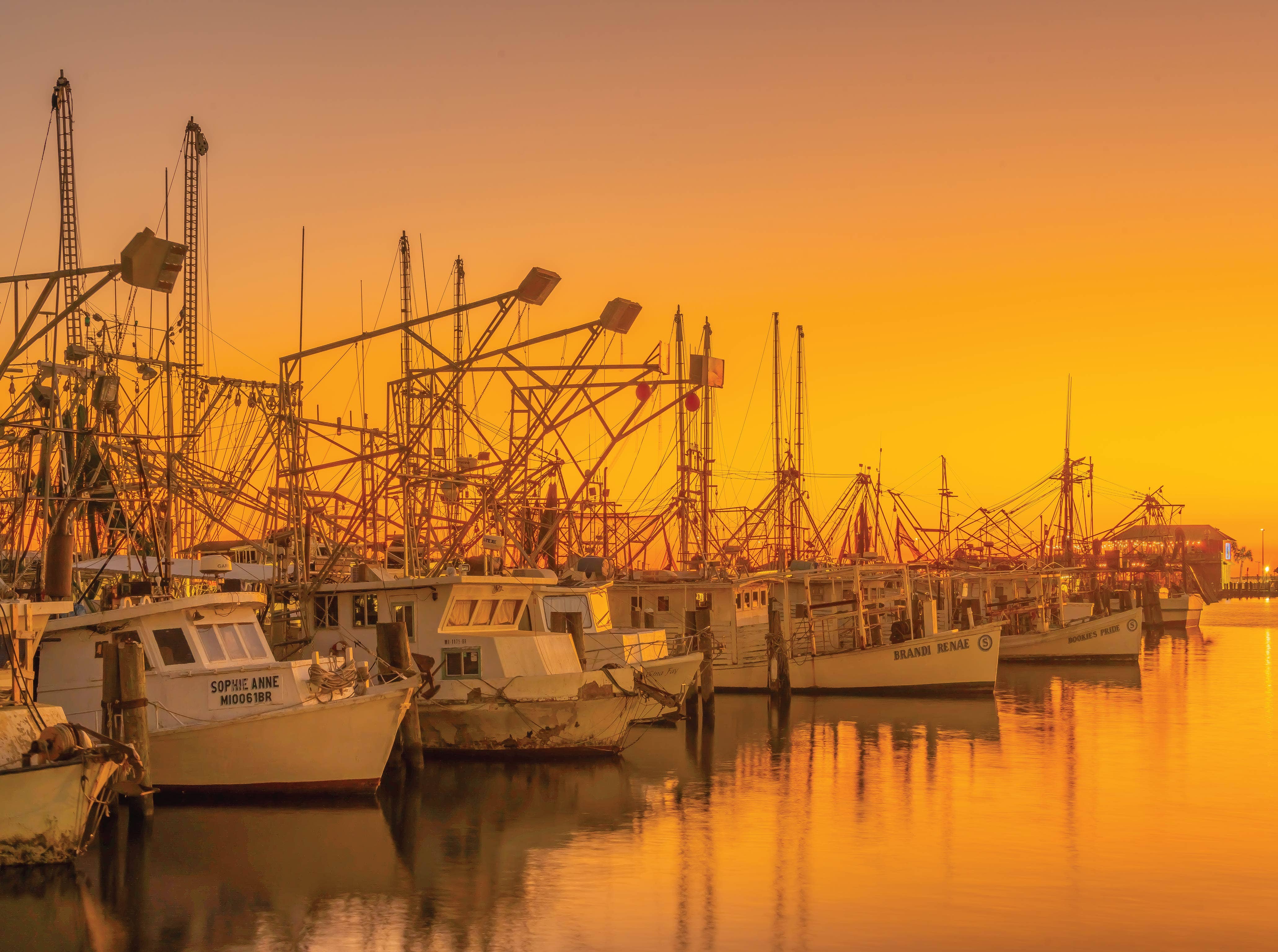 MI Puzzles by Phil Stagg Photography