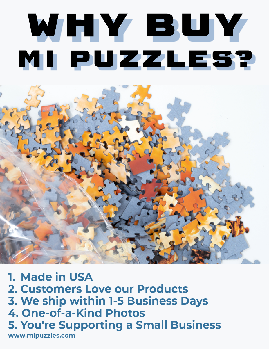 Puzzling Petoskies - 1000 Piece Puzzle [Insanity Series]