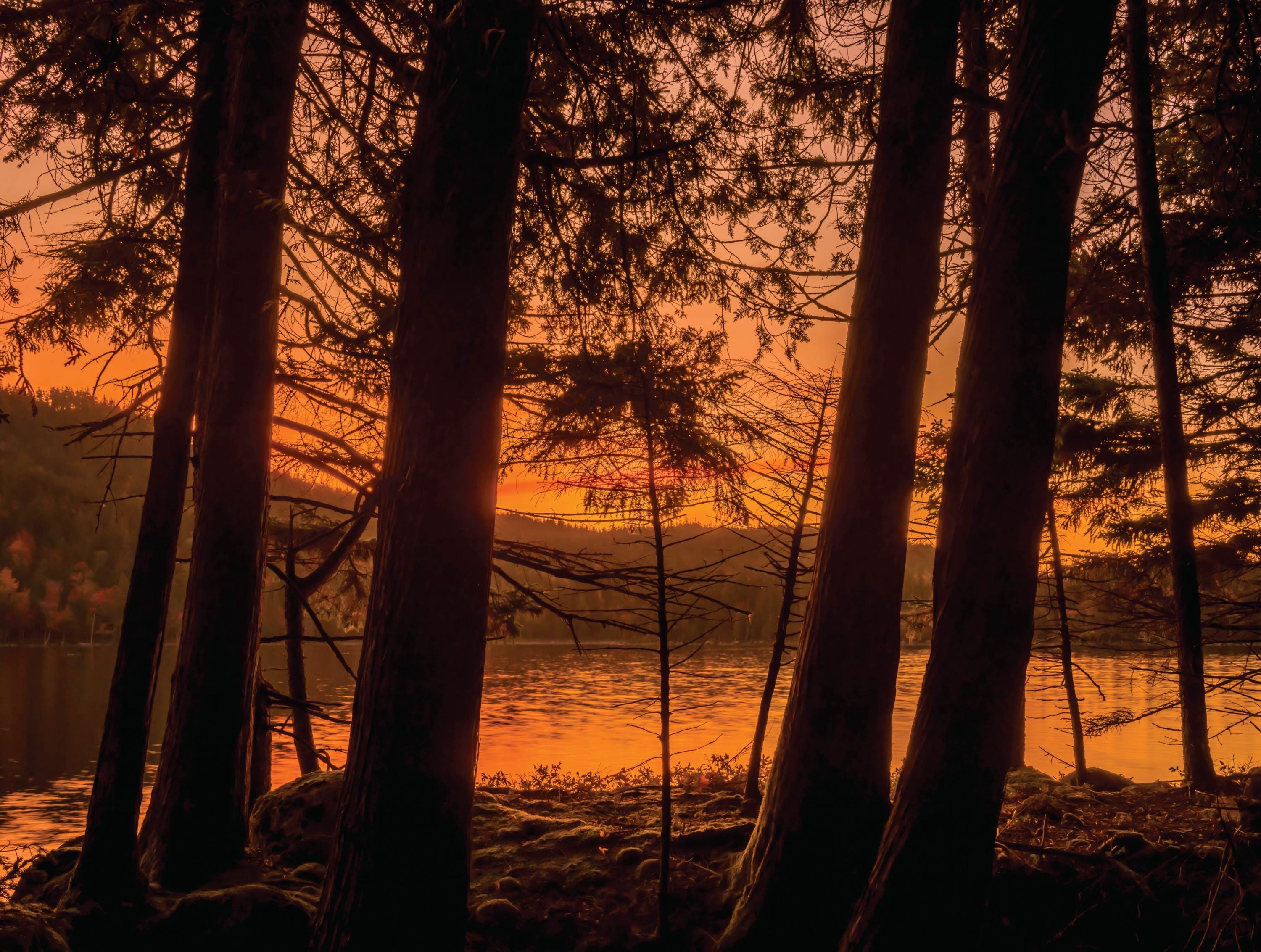 MI Puzzles by Phil Stagg Photography