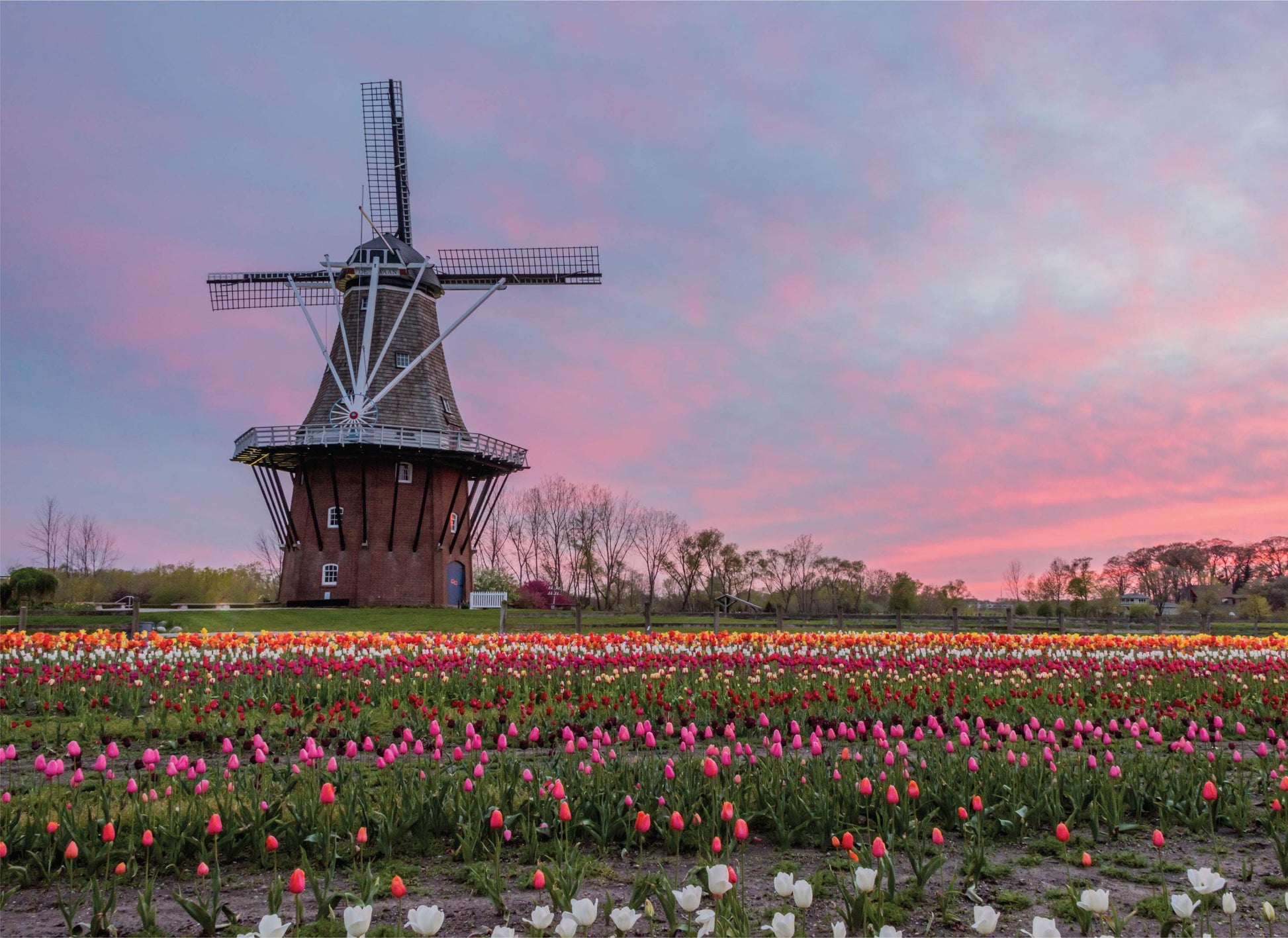 De Zwaan - Windmill - 1000 Piece Jigsaw Puzzle - MI Puzzles by Phil Stagg Photography