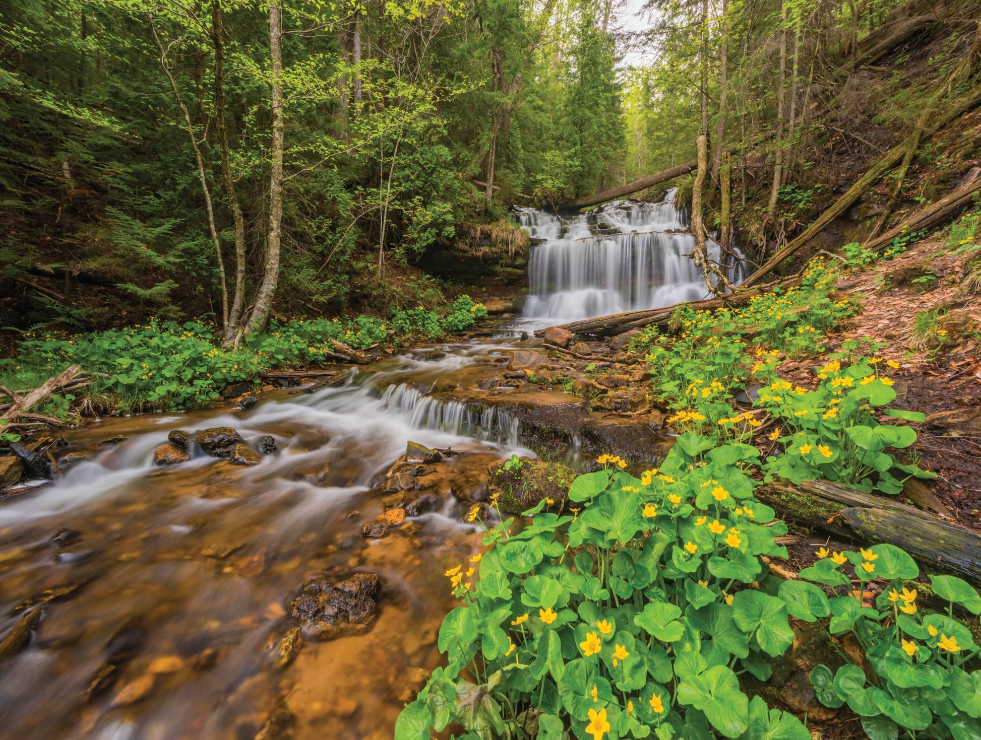 Wagner Falls - 500 Piece Jigsaw Puzzle - MI Puzzles by Phil Stagg Photography