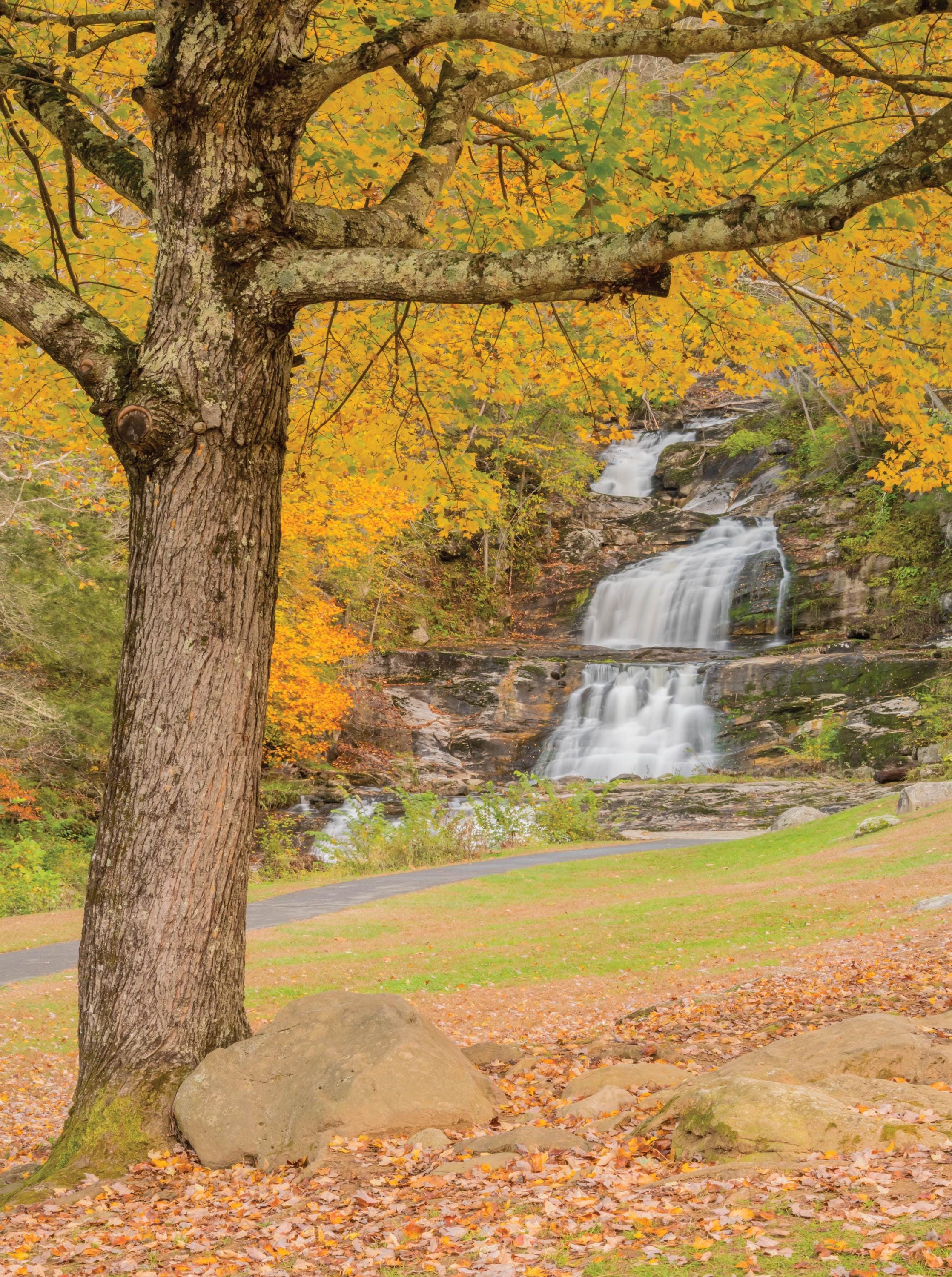 MI Puzzles by Phil Stagg Photography