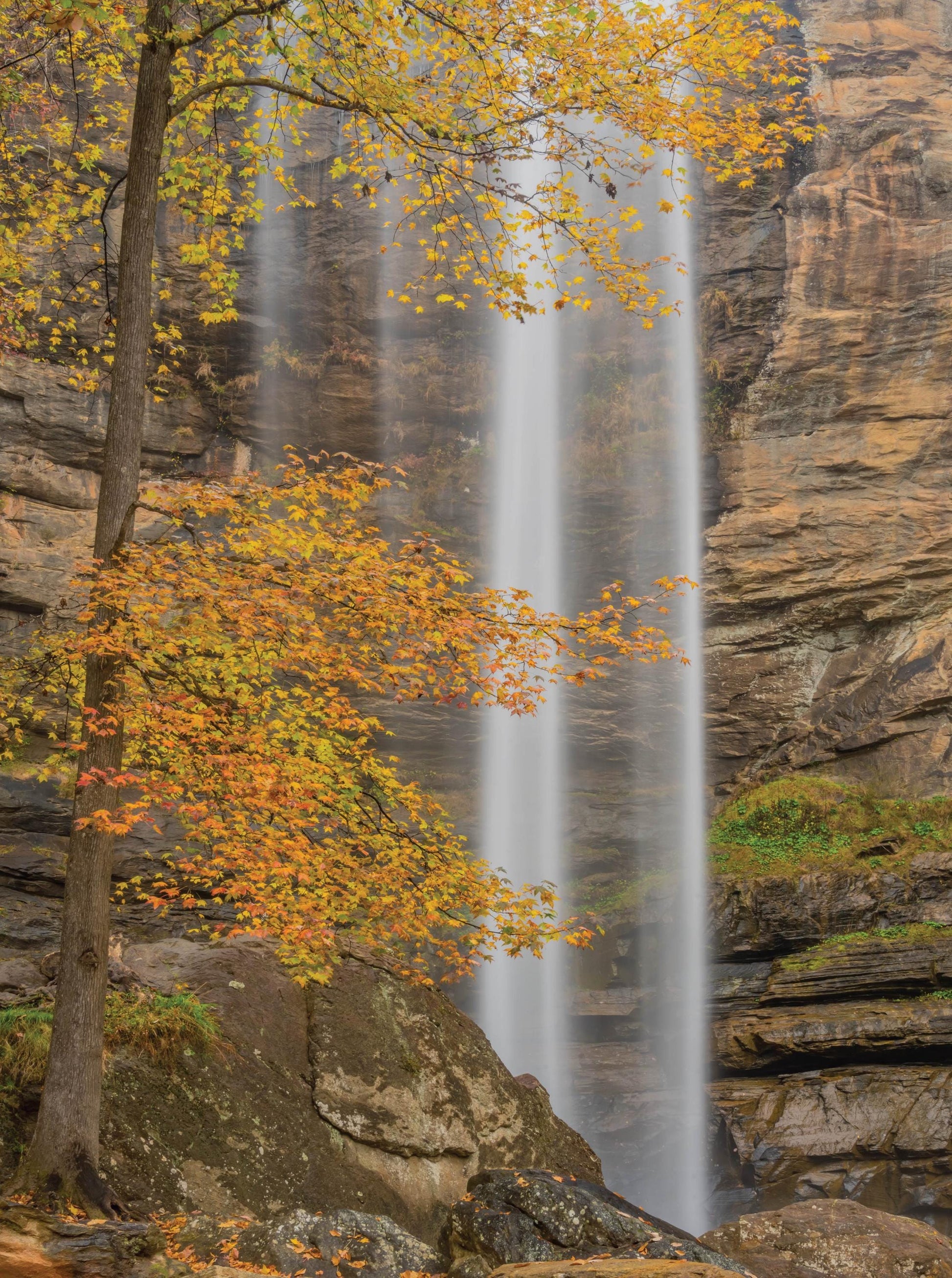 Toccoa Falls - 1000 Piece Jigsaw Puzzle - MI Puzzles by Phil Stagg Photography